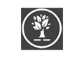 Notices and Gallery Images